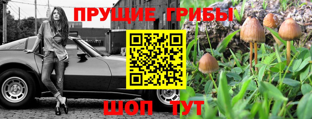 Арсеньев  Галлюциногенные грибы GOLDEN TEACHER  Вход с VPN 