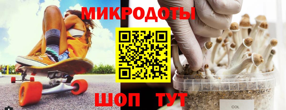 Галлюциногенные грибы мицелий Арсеньев